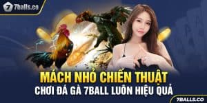 Mách Nhỏ Chiến Thuật Chơi Đá Gà 7BALL Luôn Hiệu Quả