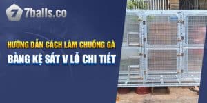 Hướng Dẫn Cách Làm Chuồng Gà Bằng Kệ Sắt V Lỗ Chi Tiết