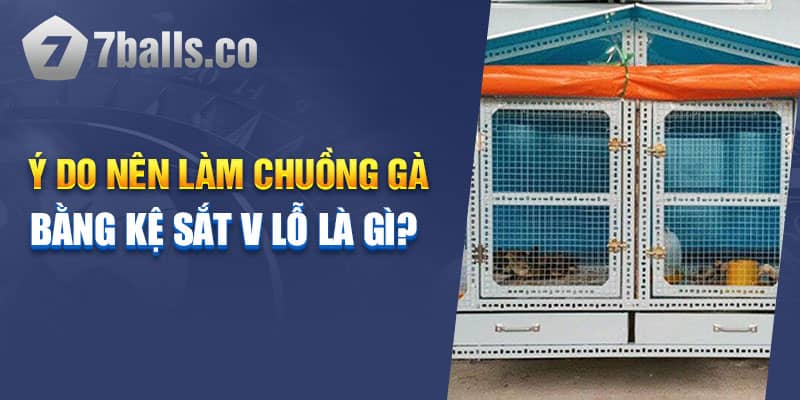 Lý do nên làm chuồng gà bằng kệ sắt V lỗ