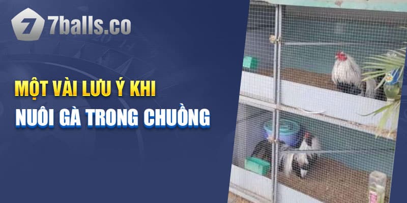 Làm chuồng gà bằng kệ sắt V lỗ