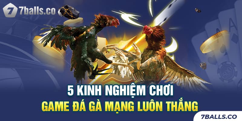 Kinh nghiệm chơi game đá gà mạng luôn thắng