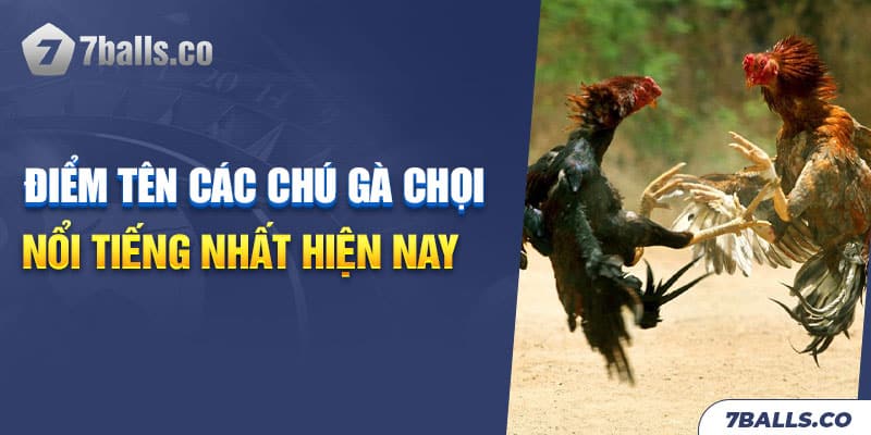 Tiêu chí lựa chọn gà chọi nổi tiếng nhất