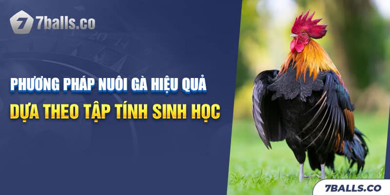 Tập tính sinh học của gà sẽ được thực hiện khoa học