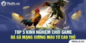 Top 5 Kinh Nghiệm Chơi Game Đá Gà Mạng Xương Máu Từ Cao Thủ