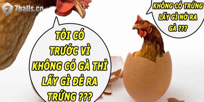 Giải đáp gà có trước hay quả trứng có trước