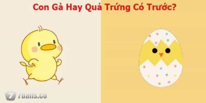 Câu hỏi hack não gà có trước hay quả trứng có trước