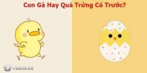 “Gà Có Trước Hay Quả Trứng Có Trước”- Giải Câu Hỏi Hack Não