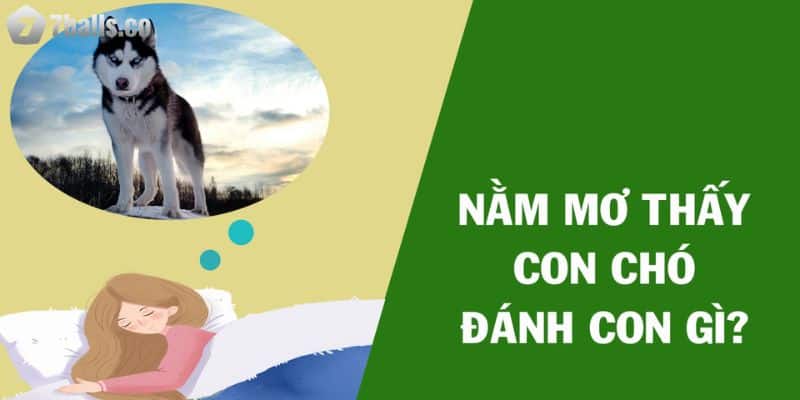 Nằm mơ thấy chó báo điềm gì?