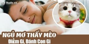 Giấc Mơ Thấy Mèo: Ý Nghĩa Tâm Linh Và Gợi Ý Trọn Bộ Số Đẹp