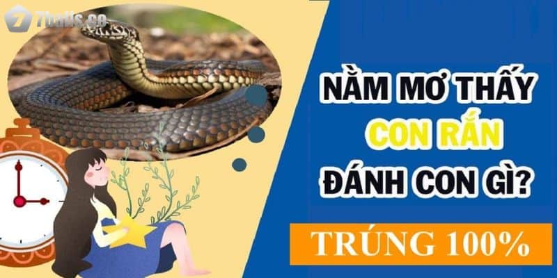 Mơ thấy rắn cắn cũng không hoàn toàn mang điềm báo xui xẻo