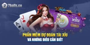 Phần Mềm Dự Đoán Tài Xỉu Và Những Điều Người Chơi Cần Biết