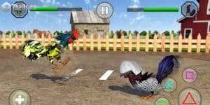 Bật Mí Cổng Game Đá Gà APK Uy Tín - Chất Lượng Số 1 Việt Nam